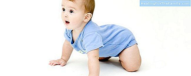 Baby crawling. Stages and care