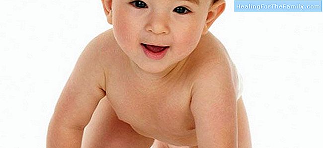 היתרונות Gateo התפתחות התינוק