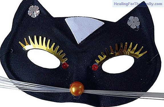 Cat mask. Carnival Crafts