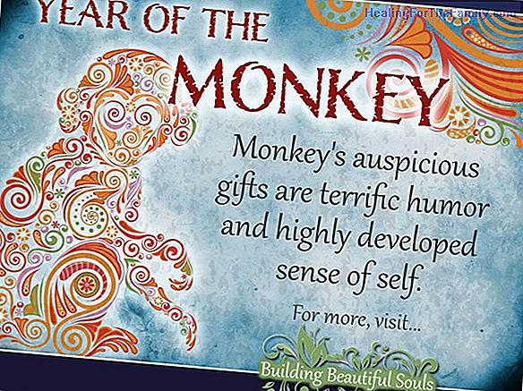 Chinese horoscope for children of the sign Monkey