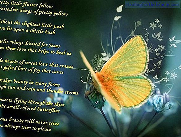Flying you go butterfly. Poem with rhyme for children