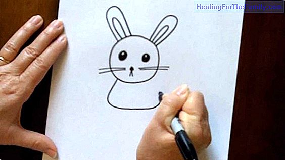 How to draw a rabbit. Children's drawings of animals