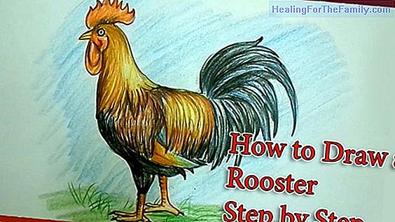 How to make a drawing of a rooster step by step