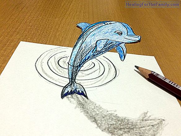How to make, step by step, a drawing of a dolphin