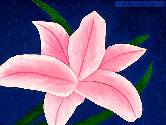 How to do, step by step, a drawing of a water lily