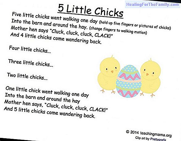The chicks. Song to play with the baby