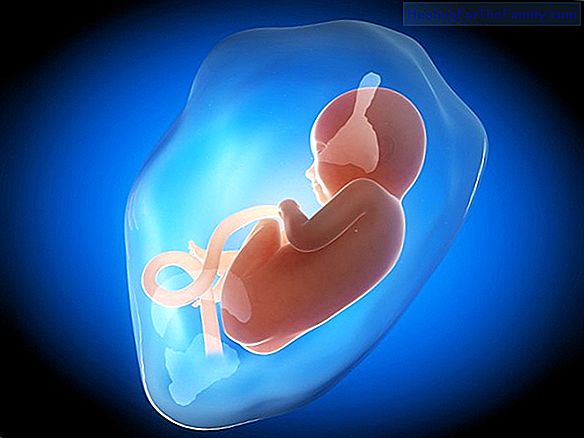 Amniotic fluid in pregnancy