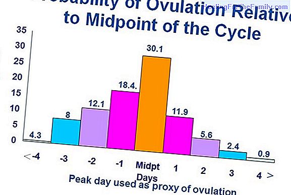 The menstrual cycle and the fertility of the woman