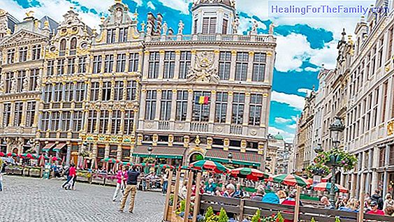 Tips for traveling to Brussels as a family