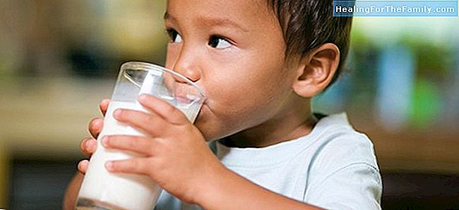 Lapte de soia pentru copii: avantaje și dezavantaje