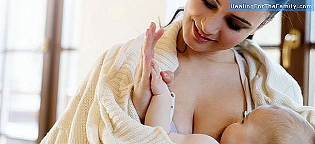 Lien entre la mère et l'enfant et l'allaitement