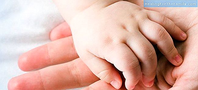 De handen van baby's. Voortgang van 0 tot 24 maanden