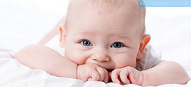 The perception of the senses in babies