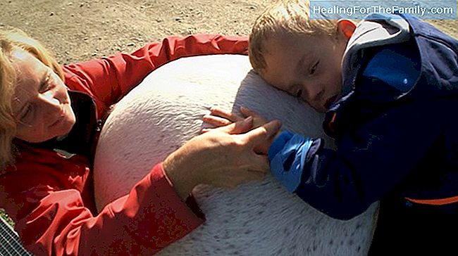 Nutzen von Therapien mit Tieren für Kinder mit Behinderungen
