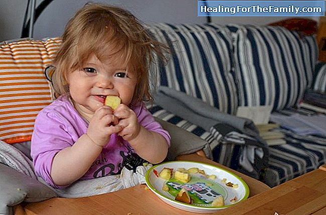  Wie Nahrung in kleine Stücke für Babys einführen