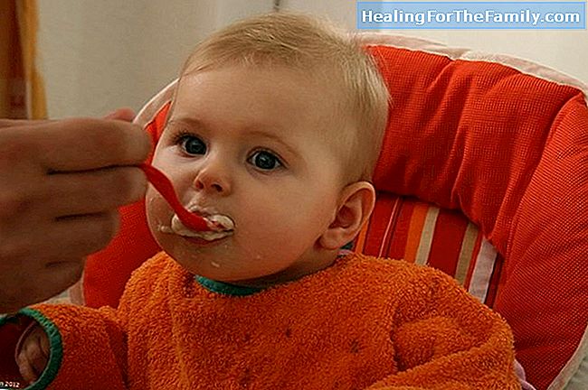  Wenn das Gluten in der Ernährung von Babys einzuführen