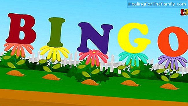 Bingo. Song für Kinder Englisch lernen mit