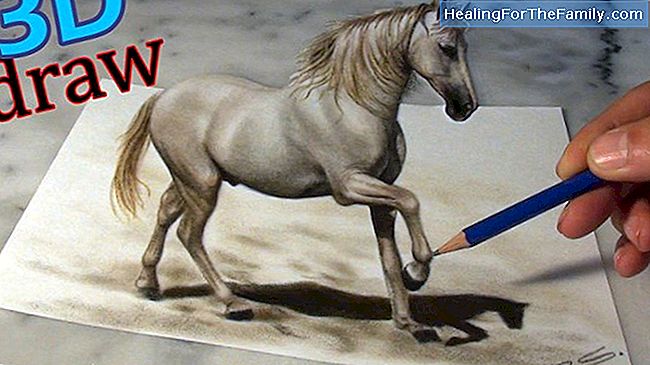 Wie eine Zeichnung eines Pferdes Schritt machen