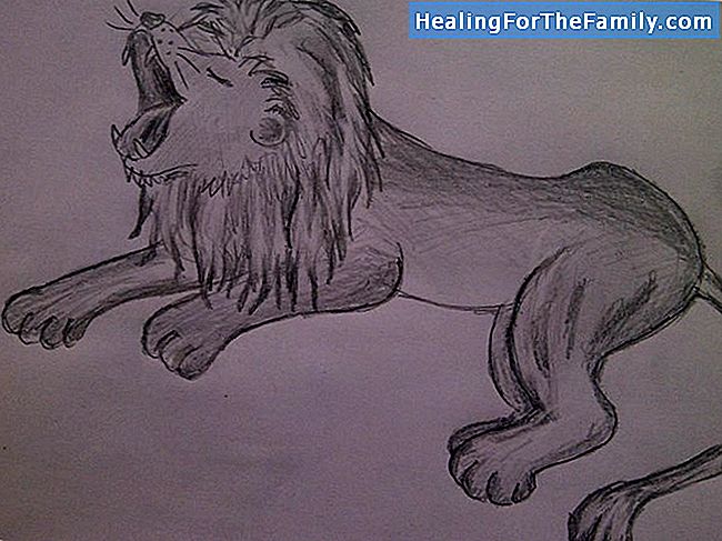 Wie man einen Löwen zeichnet. Zeichnungen von Tieren für Kinder