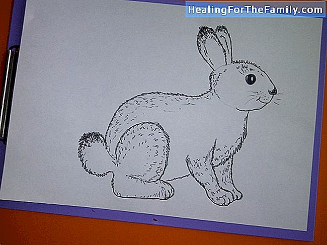 Wie zeichnet man ein Kaninchen? Kinderzeichnungen von Tieren