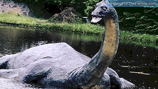 Das Loch Ness Monster. Geschichten von Monstern für Kinder