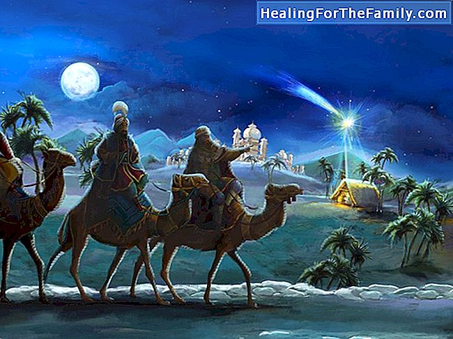 Drei Esel gehen nach Bethlehem. Kinder Gedicht über die Weisen