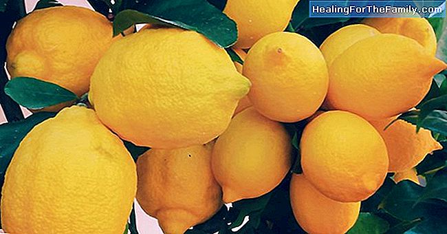 Beauty-Tipps mit Zitrone für schwangere