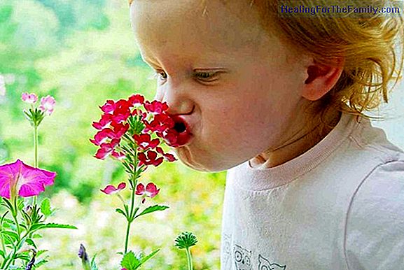 The sense of smell in babies