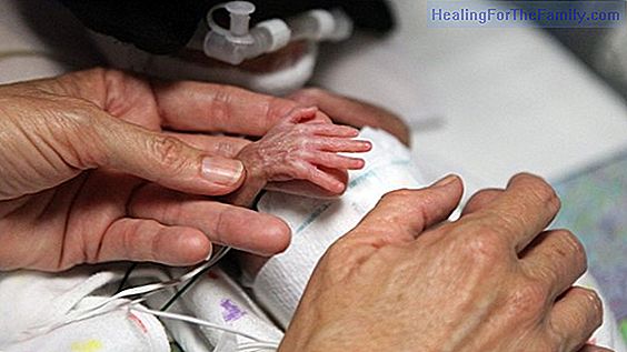 Touch in premature babies