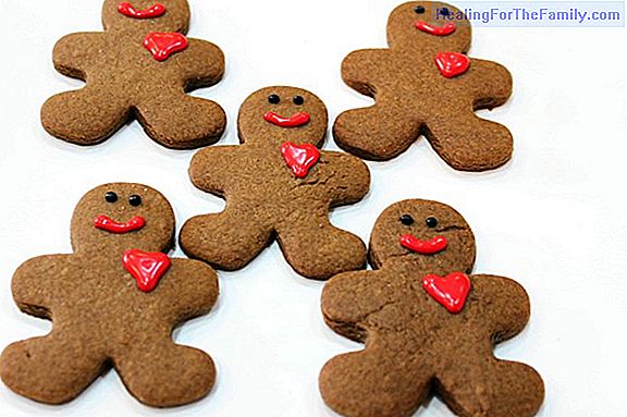 Ideas to decorate Christmas gingerbread cookies