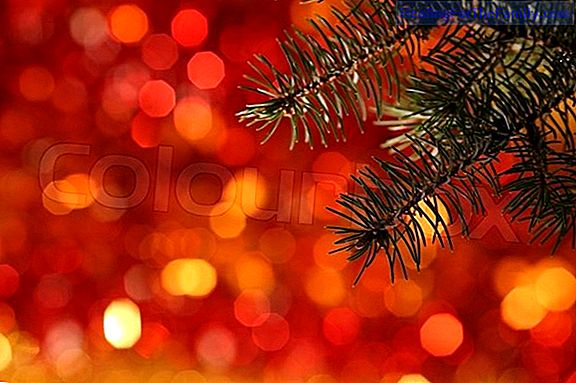 The fir tree is empty. Christmas children's Christmas carol