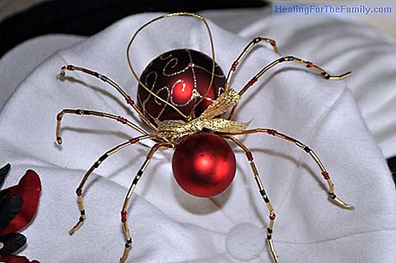 Christmas spiders. German Legend