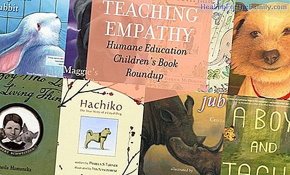 Empathy in children. Educating in values ​​