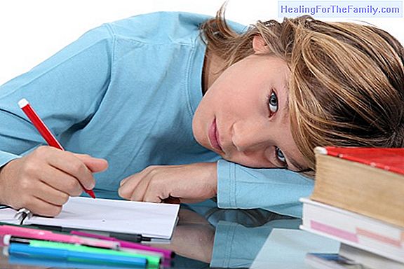 How to teach the child not to be lazy