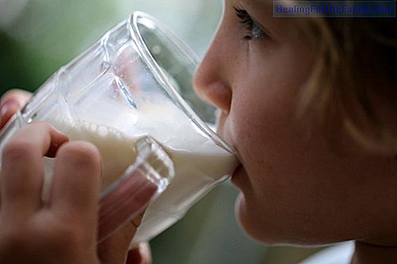 Cow milk or vegetable milk for children, what is better?