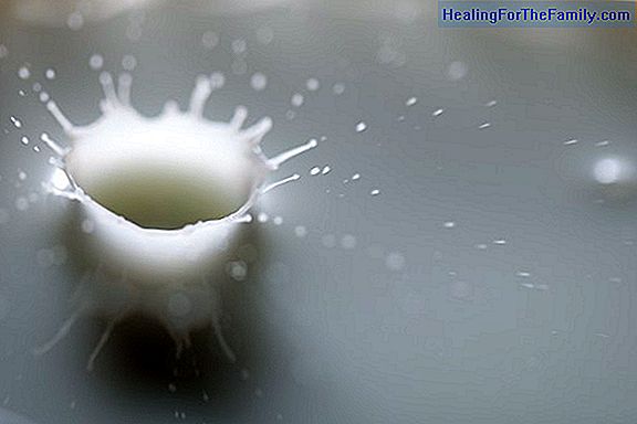 Milk hyperproduction during lactation
