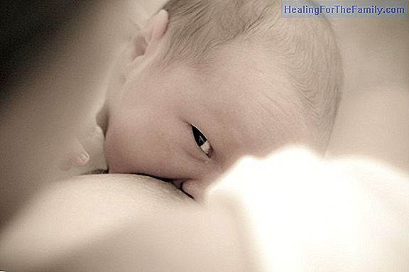 Tips to ensure the success of breastfeeding