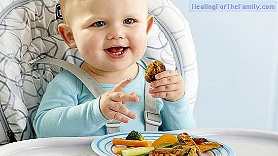 What is the Baby led weaning?