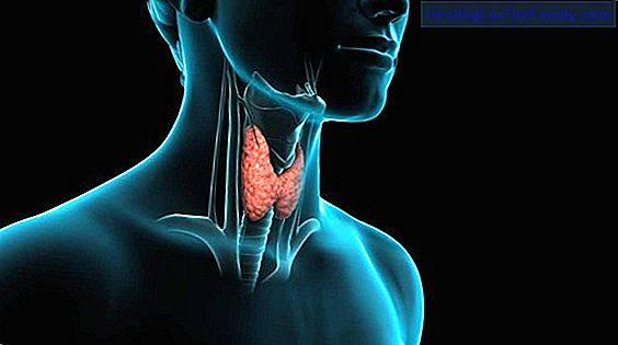 Thyroid disorders in children