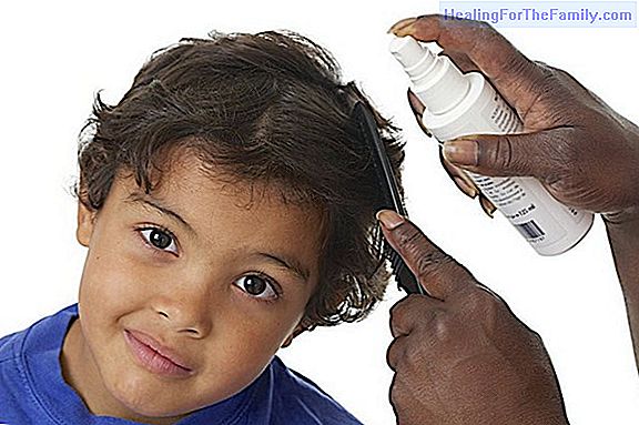 Treatments to eliminate lice