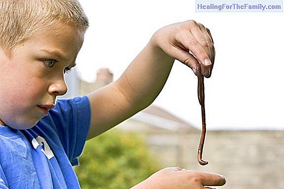 What are the worms and how do they get the children?