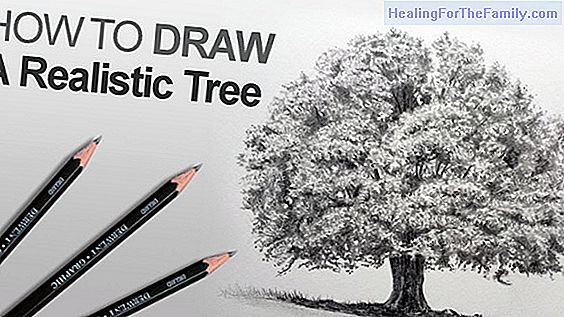 Christmas tree drawing. Learn to draw step by step