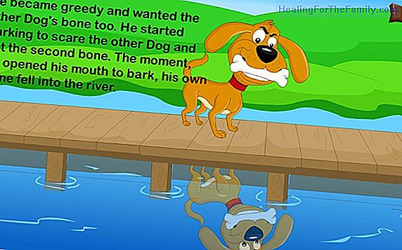 Fables with dogs for children. Short stories with morals