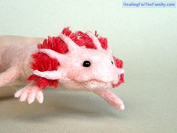 Felted fish. Crafts for children