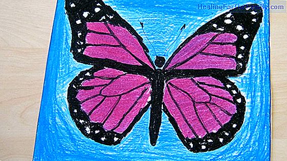 How to make a drawing of a butterfly step by step