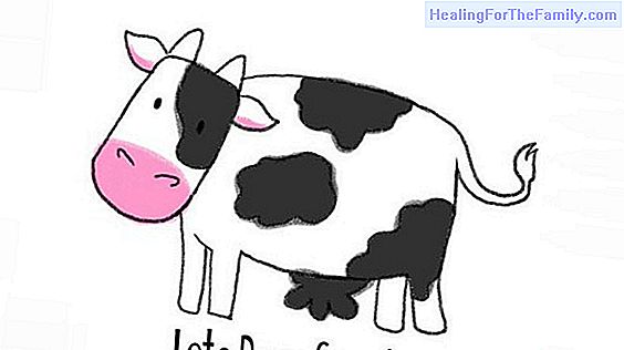 How to draw farm animals with children