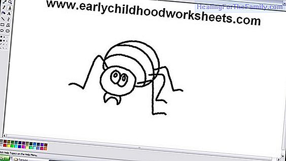 How to draw a spider step by step