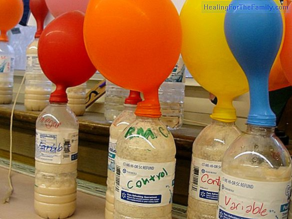 How to inflate a balloon with yeast and sugar. Experiment for children