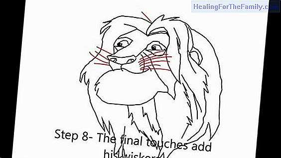 How to make a drawing of a lion step by step