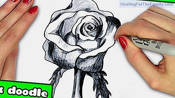 How to do, step by step, a drawing of a rose